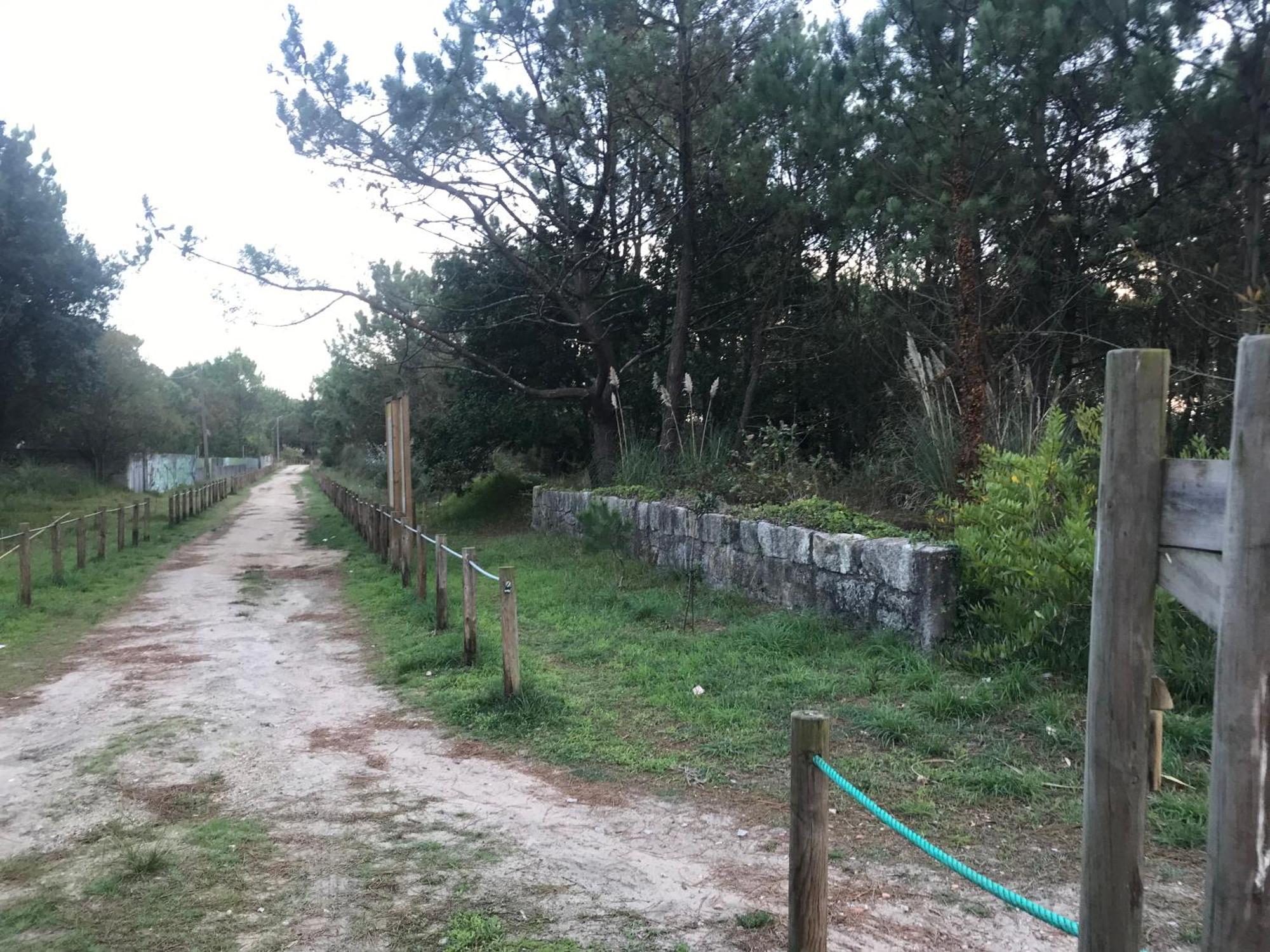 Arvore Cozy Com Jardim Exterior photo